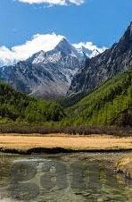 水果机技术论坛-水果机技术论坛，交流心得，共享技术