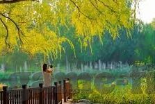 足球踢出篮球比分-当足球场变身篮球场，一场9-8的疯狂对决如何颠覆你的运动认知